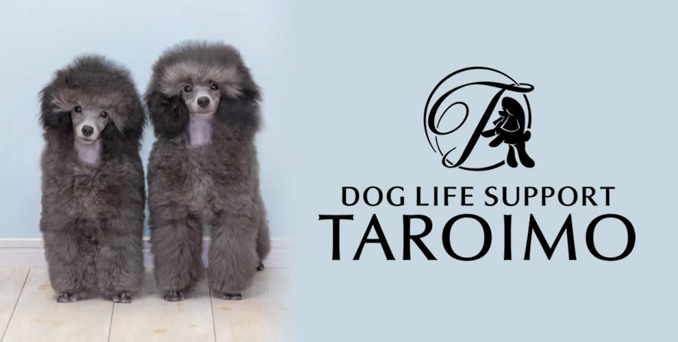 OGLIFE SUPPORT TAROIMO サロン予約・お問合せメールフォーム
