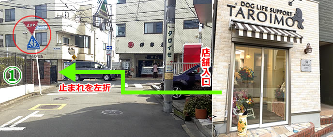 横浜のドッグライフサポートタロイモを右手に見て「止まれ」を左折