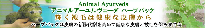 アニマルアーユルヴェーダ ハーブパック（ハーブパックは皮膚の新陳代謝を高めて健康な皮膚と被毛を保ちます）