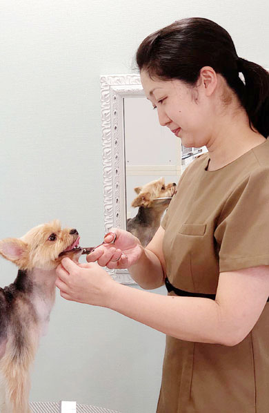 横浜のドッグライフサポートタロイモ　店長 宮本真利