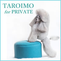 TAROIMO for PRIVATE