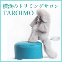 横浜のトリミングサロンTAROIMO
